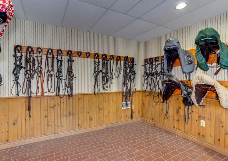 Alpine Equestrian Image Gallery